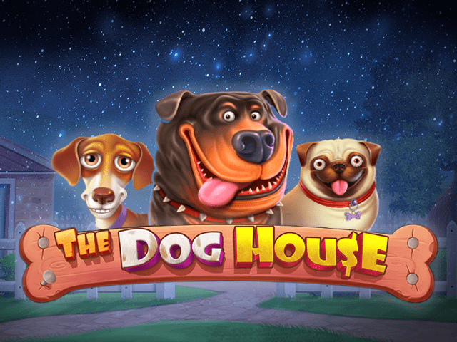 dog house